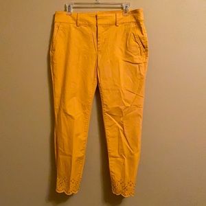 Loft crop pants